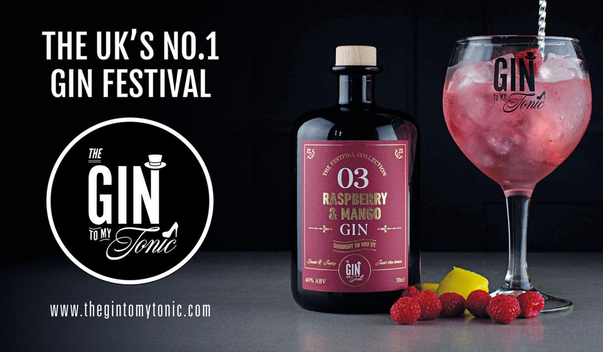 The Gin To My Tonic Gin, Rum & Vodka Festival