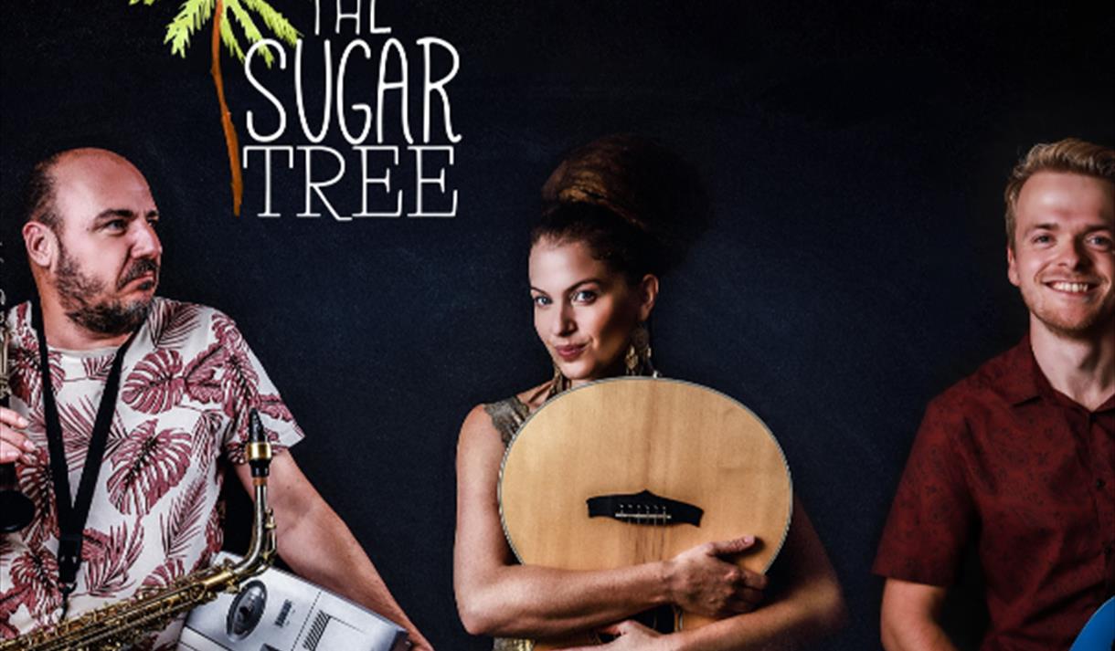 The Sugar Tree Band at Revolucion de Cuba