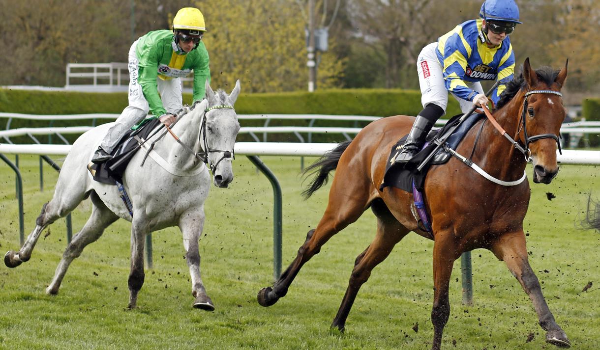 Further Flight Stakes Raceday
