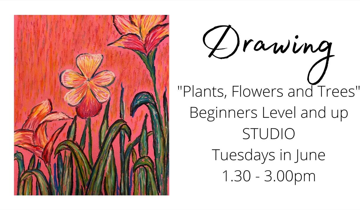 Tuesday Drawing Class: Drawing plants, flowers and trees: June 2023