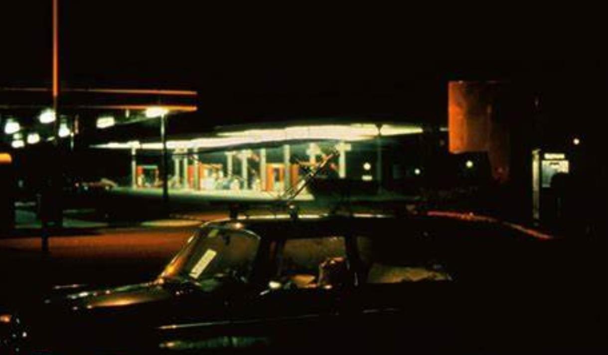 The Vanishing: with Rambling Cinema & Dr Christina Brennan