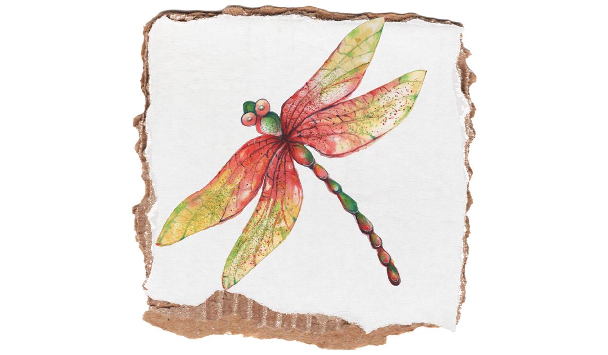 Create Your Own Dragonfly