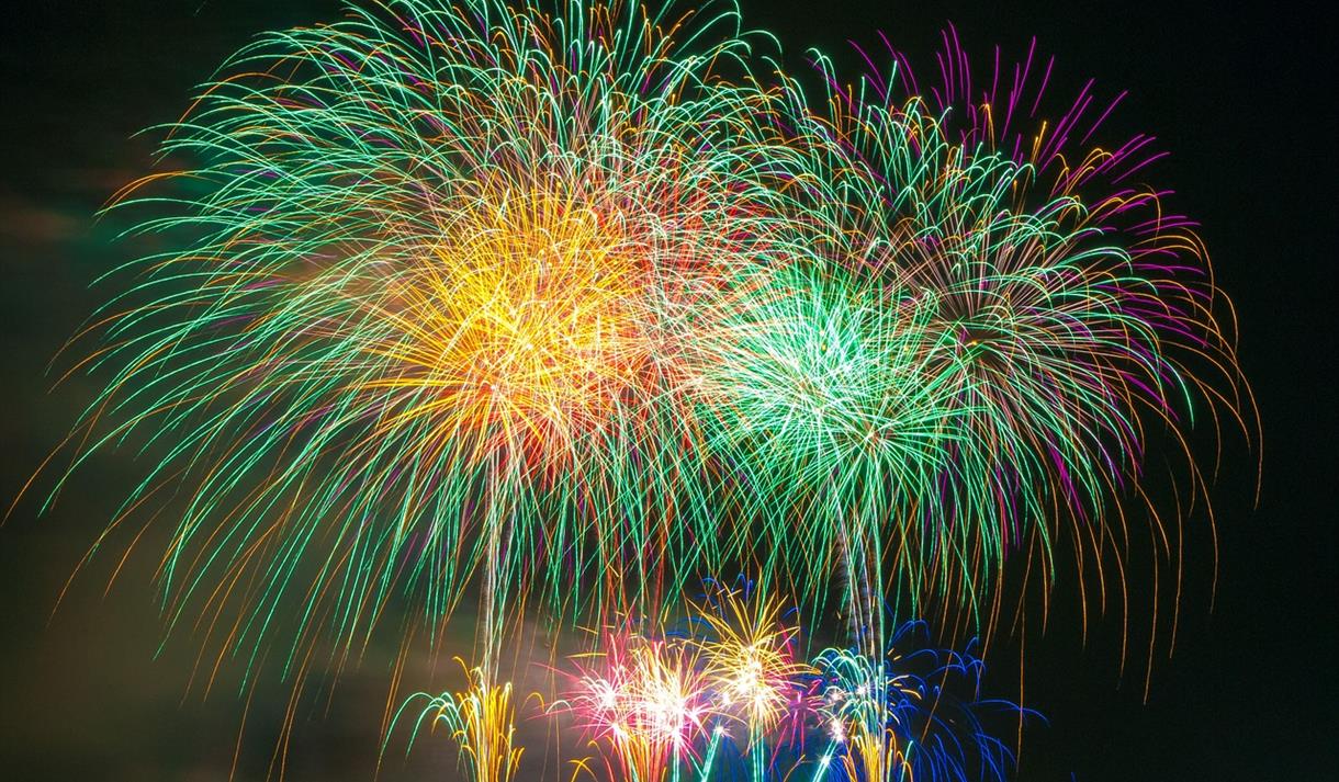 Firework Spectacular at Conkers!