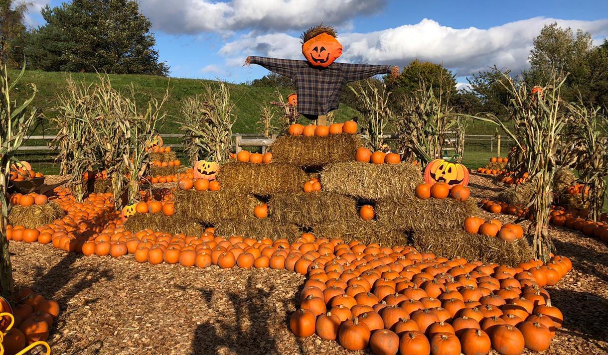 Lil’ Park of Horror’s