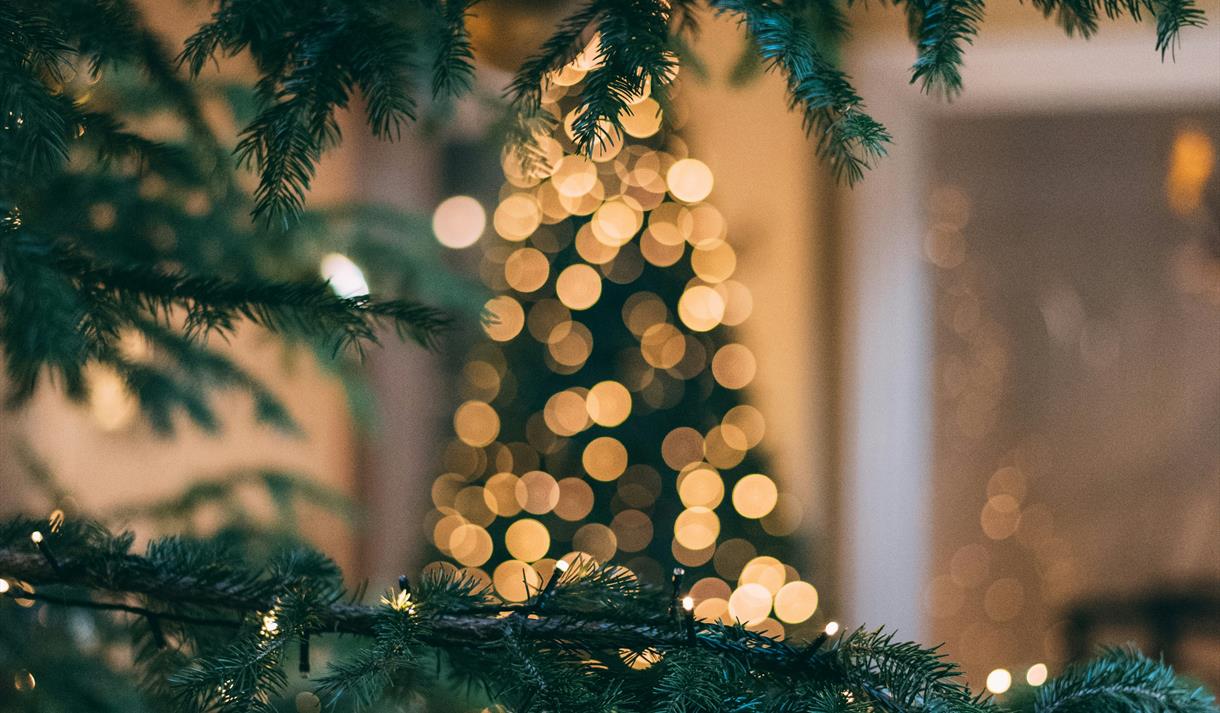 Christmas Light Switch-On at Nottingham Central Library