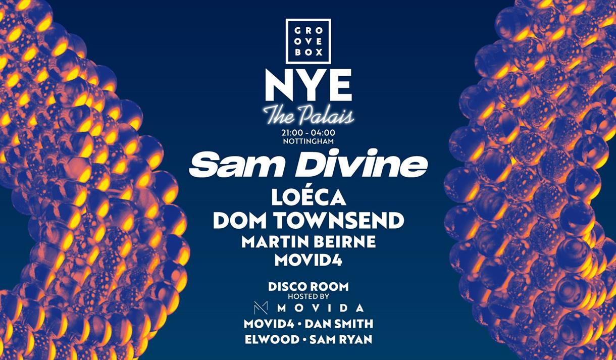 SAM DIVINE | Groovebox NYE at The Palais