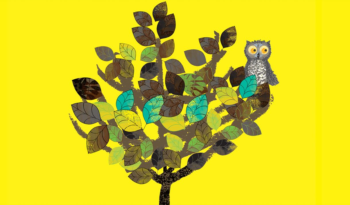 Wow! Said The Owl