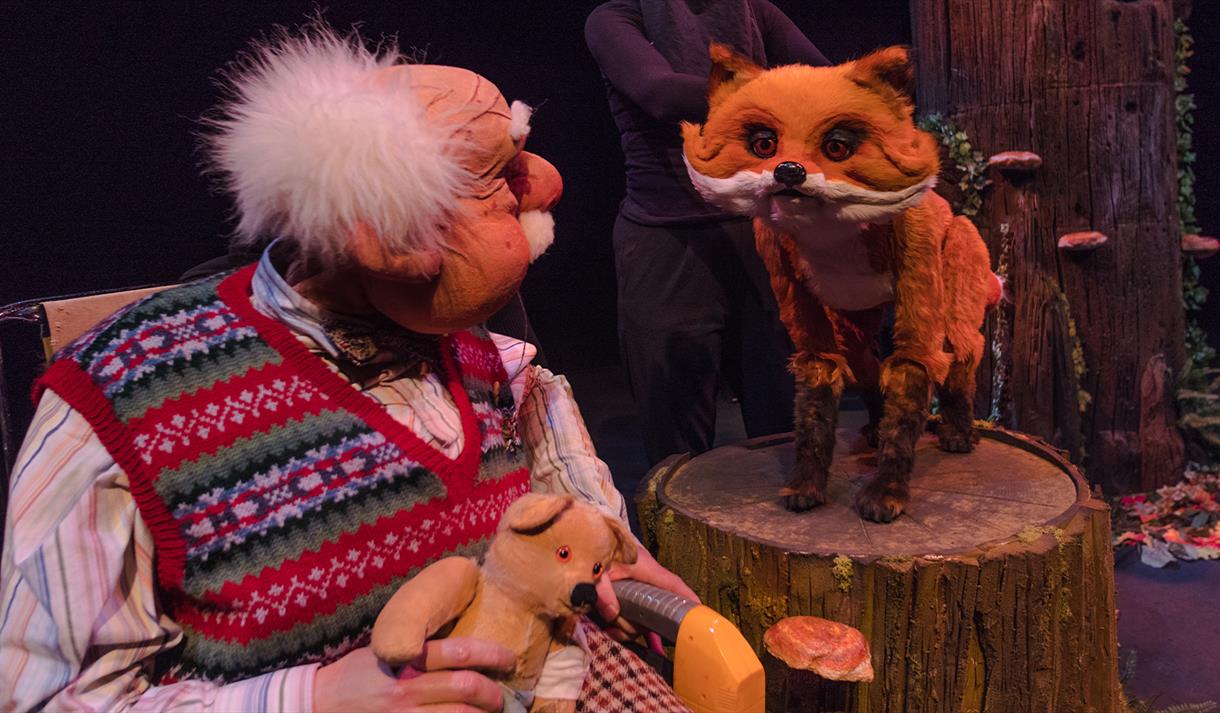 Woodland Tales with Grandad