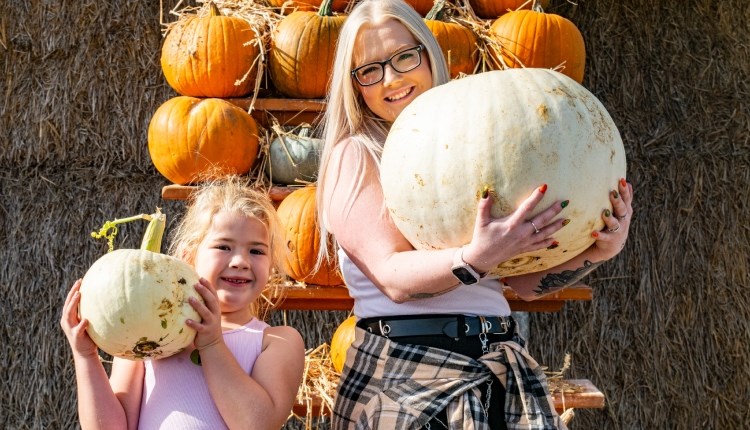 Pumpkin Festival at Tapnell Farm