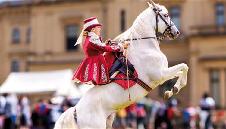 All the Queen's Horses at Osborne