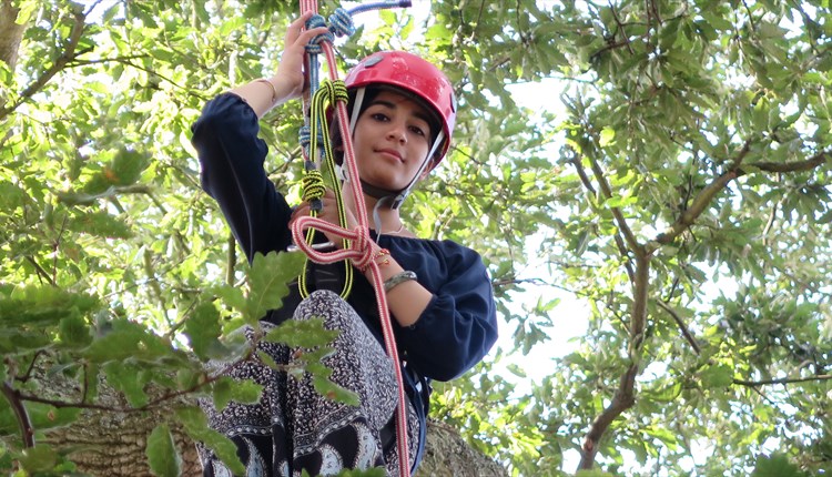 Cowes Week Tree Climbing