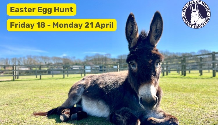 Isle of Wight Donkey Sanctuary Easter Egg Hunt