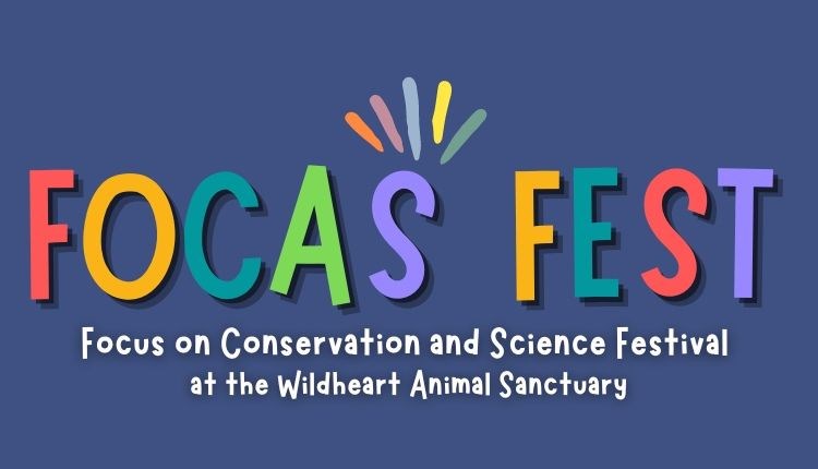 FOCAS Festival at Wildheart Animal Sanctuary