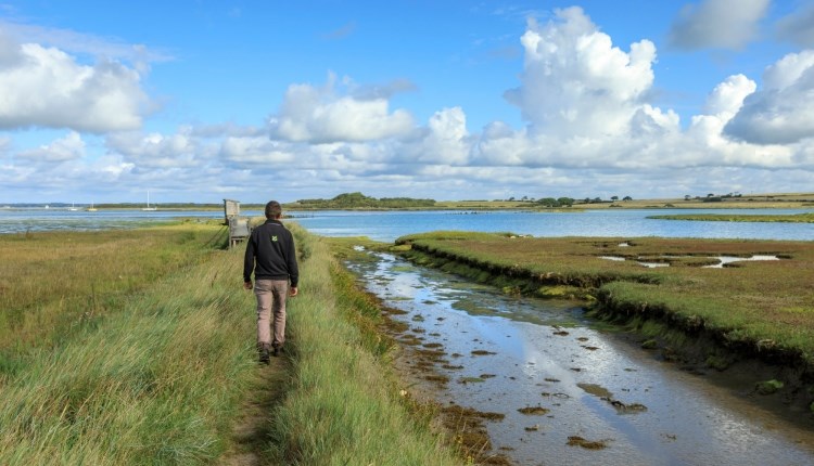 'Newtown: From a Medieval town to a saltmarsh' Guided Walk