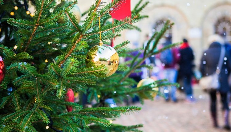 Festive Fun at Osborne