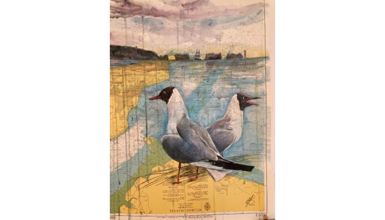 Solent: From Both Sides Now