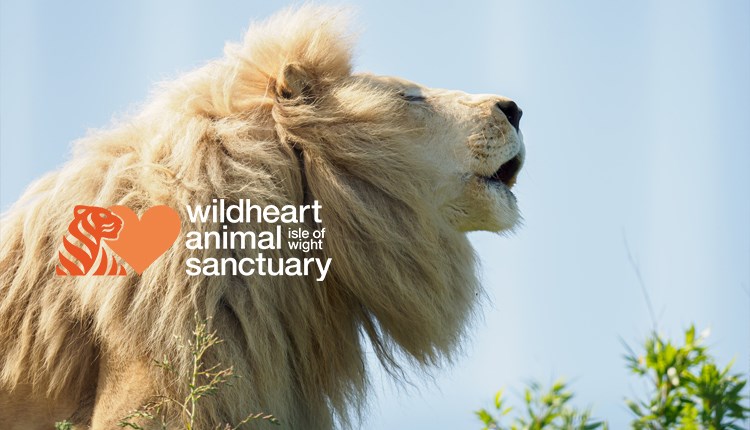 Sunrise Breakfasts at Wildheart Animal Sanctuary