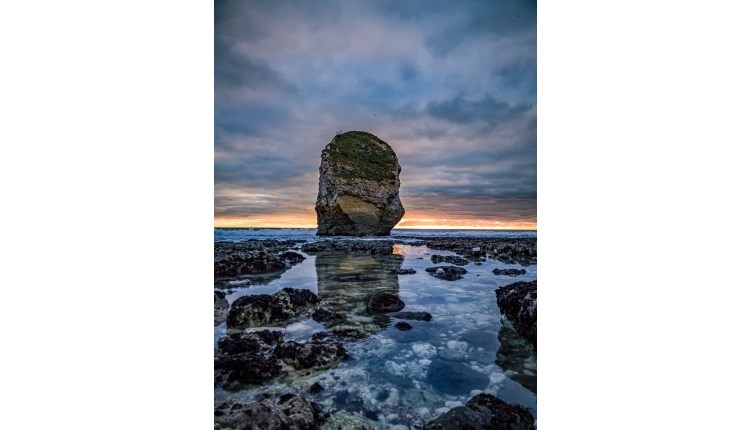 "The Beauty of..." exhibition of works by the local photographer CJ Nox