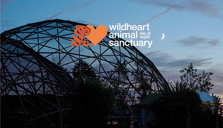 Twilight Safaris at Wildheart Animal Sanctuary