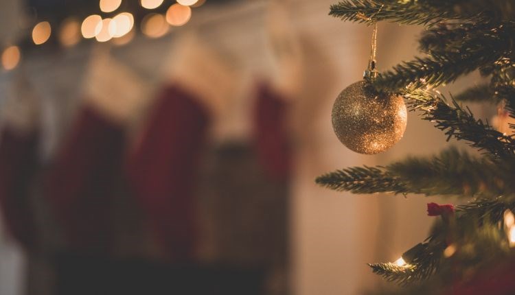 Christmas Parties at The Fishbourne