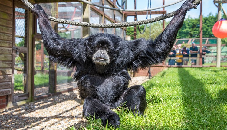 Mother's Day at Monkey Haven