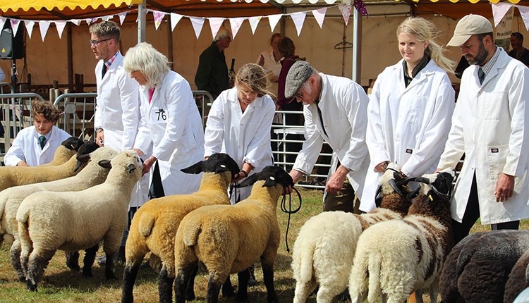 Royal Isle of Wight County Show