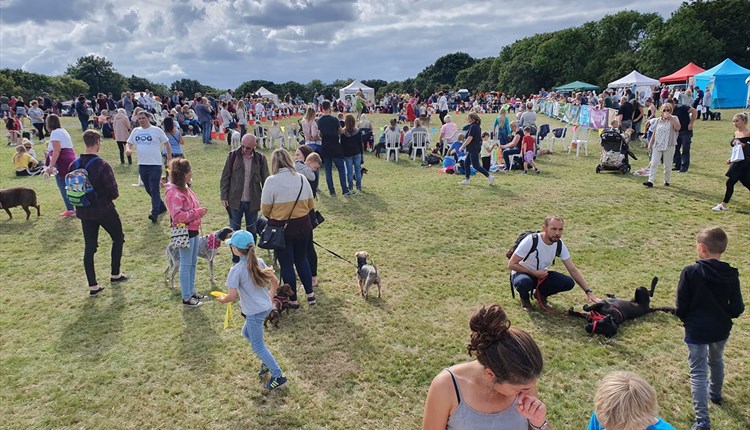 Isle of Wight Dog Festival - POSTPONED