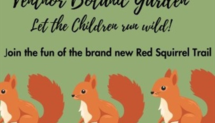 Half-Term fun at Ventnor Botanic Garden
