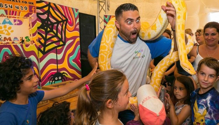 The Live & Wild Weekend at Tapnell Farm Park