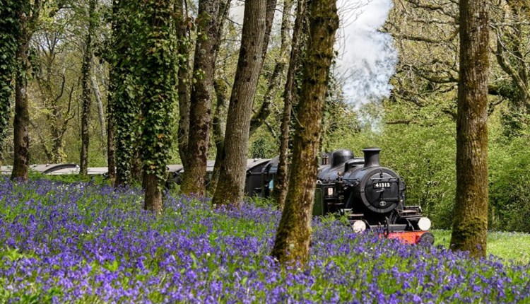 Mother's Day Specials at Isle of Wight Steam Railway