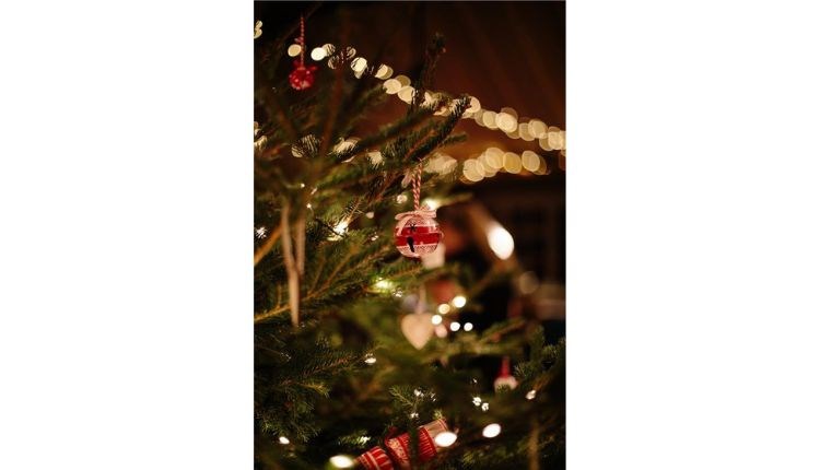 Christmas Party Night with Live Music