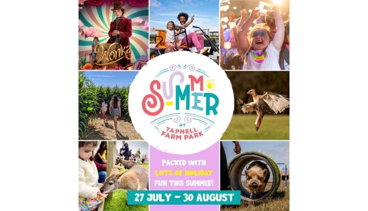 Summer in the Farm Park