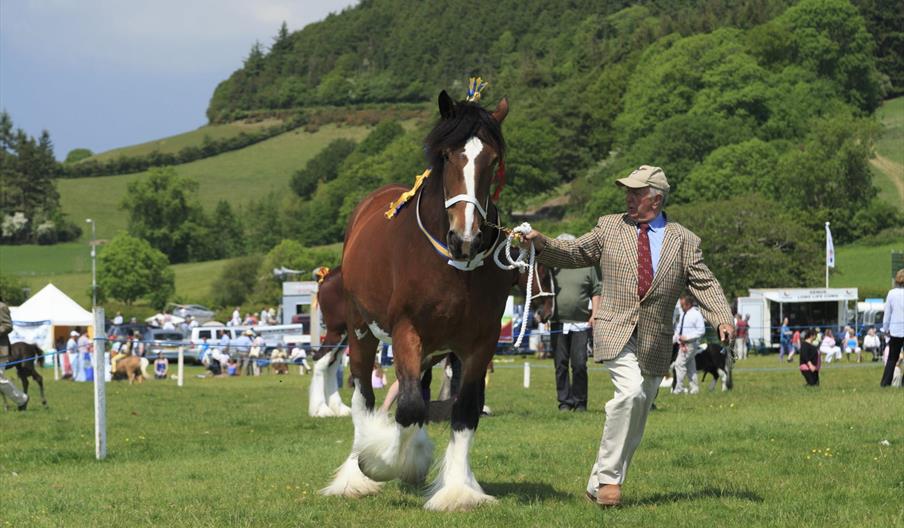 Aberystwyth & Ceredigion County Show