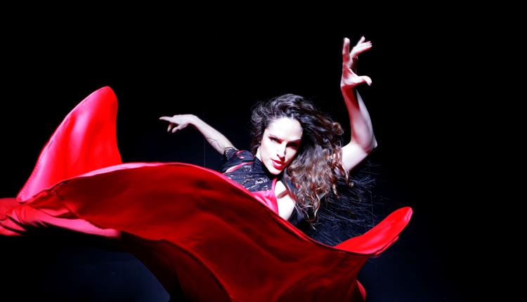 FLAMENCO DANCE WORKSHOP WITH MARIA VEGA
