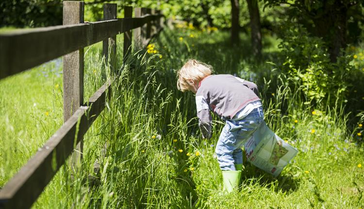 Easter egg hunts at Lacock Abbey