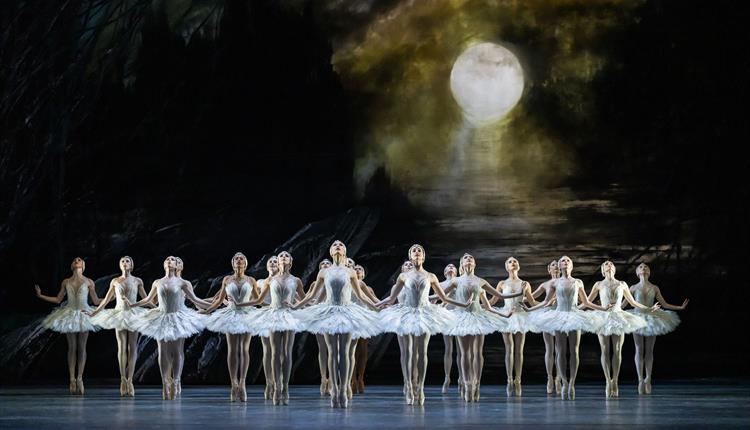Screening: The Royal Ballet Swan Lake