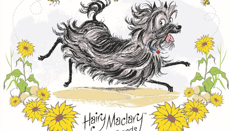 HAIRY MACLARY'S ADVENTURES WITH WEYO