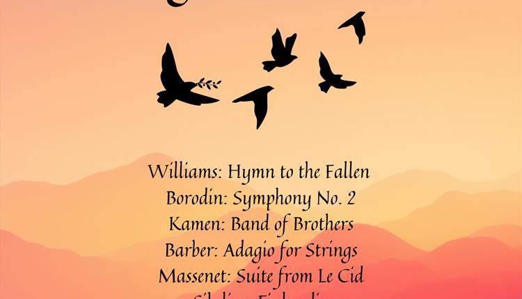 Wessex Concert Orchestra Concert "Courage and Honour"