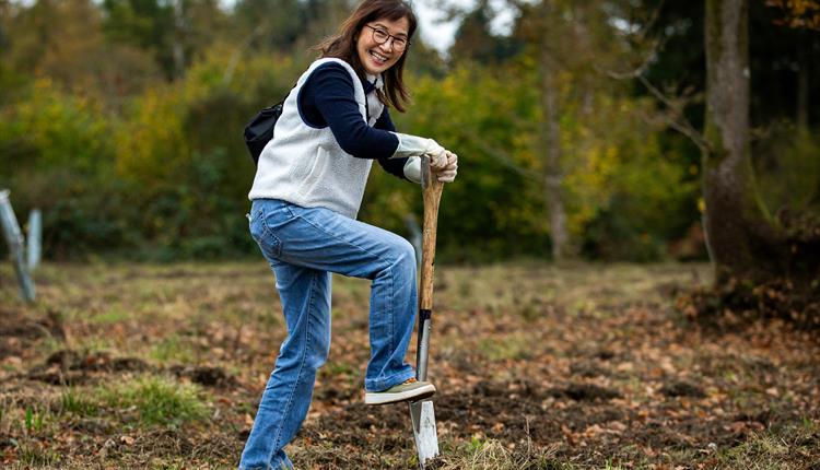 Public Volunteering Day at Westonbirt Arboretum's Community Woodland