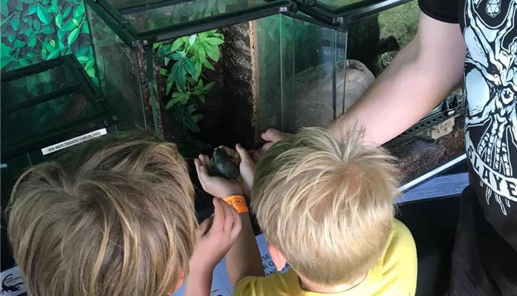 Half Term Family Fun