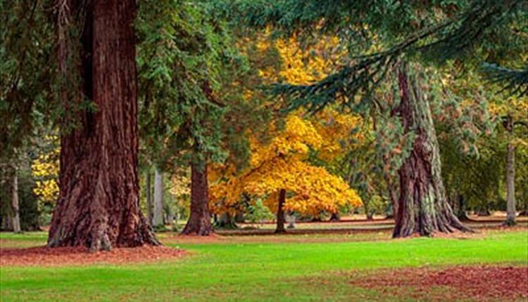 CLIVE NICHOLS PHOTOGRAPHY WORKSHOPS