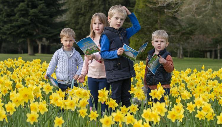 Bowood's Big Spring Adventure