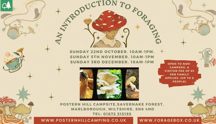 Introduction to Autumn Foraging -Workshop and Walk in Marlborough