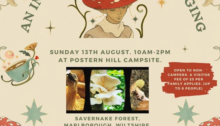 Introduction to Foraging