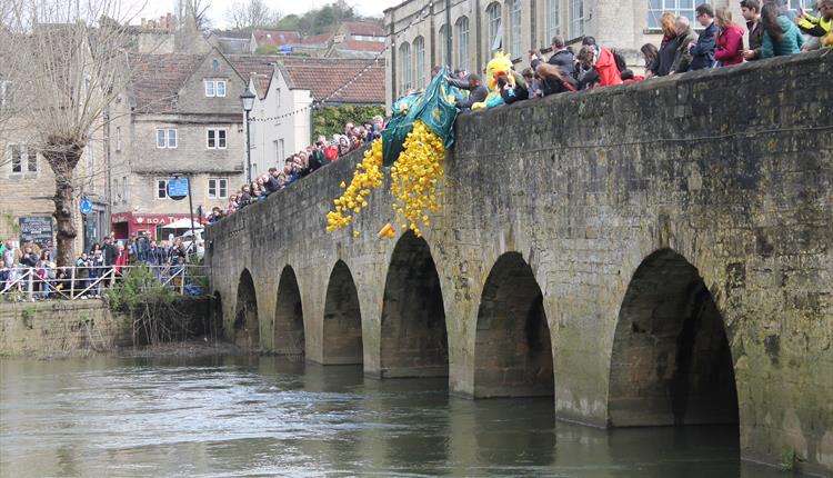 Duck Race 2025