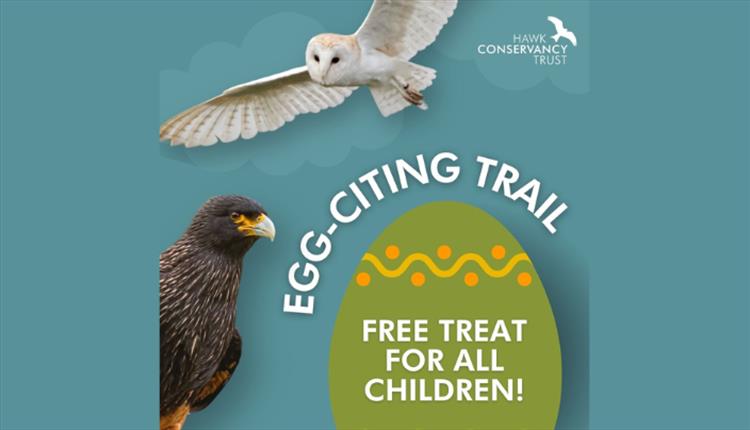 Easter at Hawk Conservancy Trust