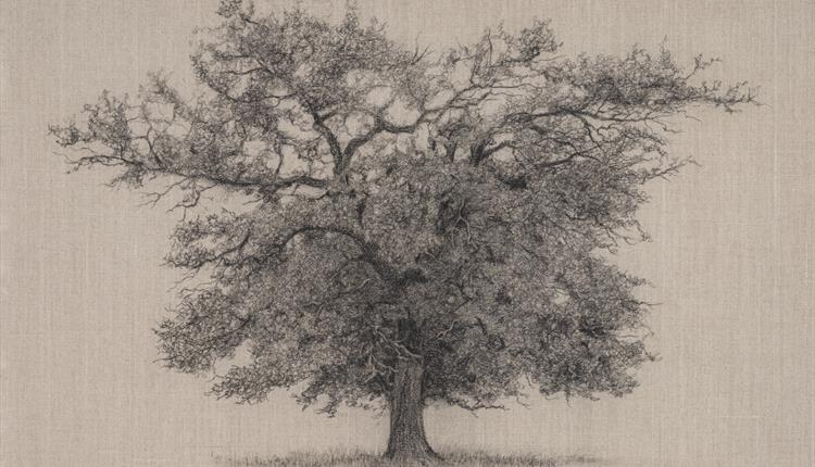 Clare Duguid Solo Exhibition