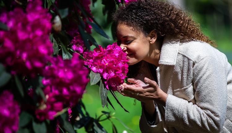 Seasonal Scent-sations - family May half term activity