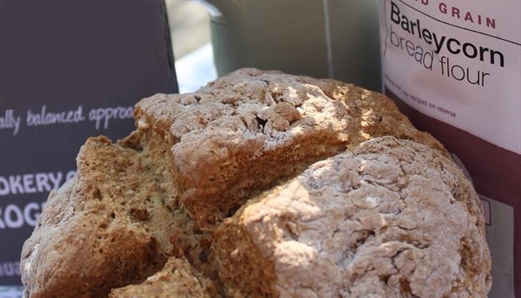 Bread Making Baking Class With Judy Dain