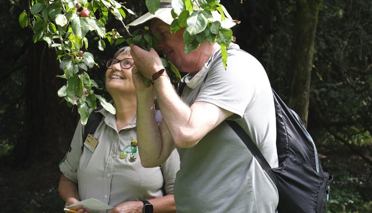 Sensing Nature Guided Walks